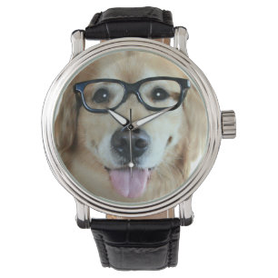 Gouden koudriever met nerd glas horloge