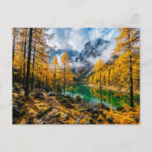 Gouden lariksbos bij bergmeer briefkaart