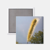 Gouden Loofmagneet Magneet (Voorkant / Achterkant)