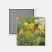 Gouden Magneet (Voorkant / Achterkant)