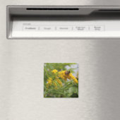 Gouden Magneet (Insitu (Vaatwasser))