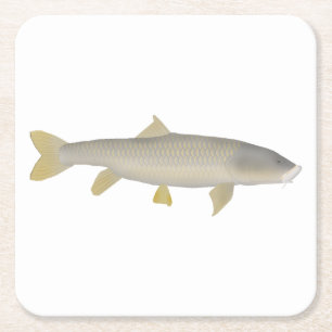 Gouden Mahseer Vierkante Kartonnen Onderzetter