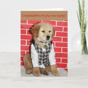 Gouden nieuwe puppy kaart