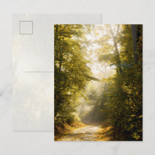 Gouden Ochtendpark, Originele Fijne Kunst Foto Briefkaart
