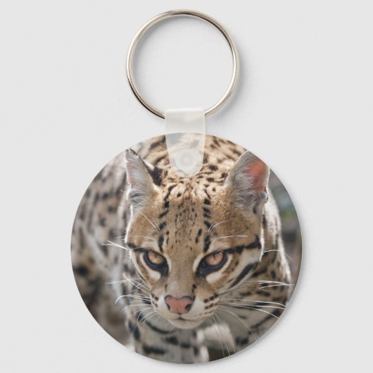 Gouden Ogen Sleutelhanger (Voorkant)