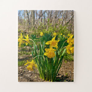 Gouden Omarming Narcis Bloei in de Lente Legpuzzel