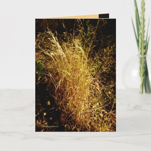 Gouden Oogst Kaart (Voorkant)