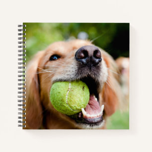 Gouden ophaalster met Tennis Ball Notitieboek