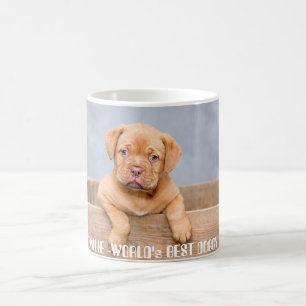 Gouden Pitbull Pup Gepersonaliseerde Naam & Foto Koffiemok