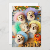 Gouden Puppies Trick or Treating Kaart (Voorkant / Achterkant)