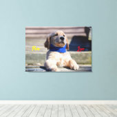 Gouden Puppy met Bandana - Canvas (Insitu (Houten vloer))
