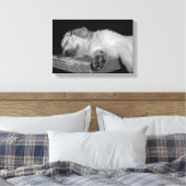 gouden rector slaapt op oud boek canvas afdruk (Insitu (Slaapkamer))