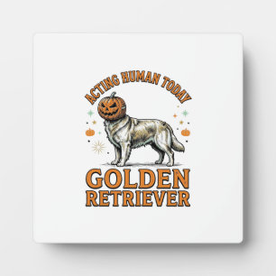 Gouden Retriever Halloween Pompoen Hond Kostuum Sh Fotoplaat