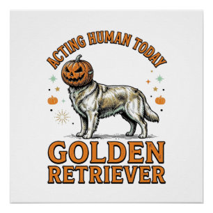 Gouden Retriever Halloween Pompoen Hond Kostuum Sh Perfect Poster