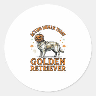 Gouden Retriever Halloween Pompoen Hond Kostuum Sh Ronde Sticker