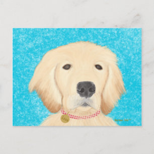 Gouden Retriever Hond Ansichtkaart Blauwe Water Briefkaart