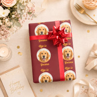 Gouden Retriever hond foto Life is Golden