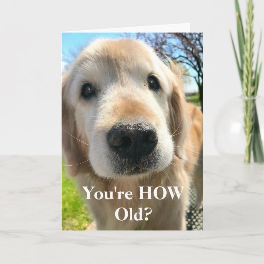 Gouden Retriever Hond Hoe Oud Ben Jij Verjaardag Kaart (Voorkant)