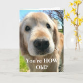 Gouden Retriever Hond Hoe Oud Ben Jij Verjaardag Kaart (Gele Bloem)