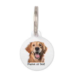 Gouden Retriever Hond Huisdier Dier Huisdierpenning