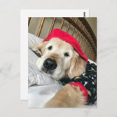 Gouden Retriever Hond in Pyjama's Beterschap Briefkaart (Voorkant / Achterkant)