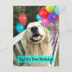 Gouden Retriever Hond Met Ballonnen Verjaardag Briefkaart