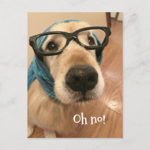 Gouden Retriever Hond Met Bril Verjaardag Gemist Briefkaart