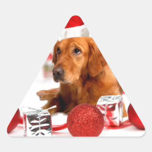 Gouden Retriever Hond Met Rode Kerstman Hoed Kerst Driehoek Sticker
