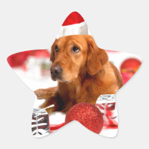 Gouden Retriever Hond Met Rode Kerstman Hoed Kerst Ster Sticker