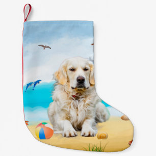 Gouden Retriever-hond op het strand Kleine Kerstsok