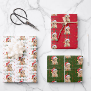 Gouden Retriever Hond Sinterklaas Kerstmis Inpakpapier Vel