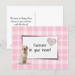 Gouden Retriever Huisdier Medeleven Verlies Briefkaart