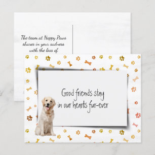 Gouden Retriever Huisdier Medeleven Verlies Briefkaart