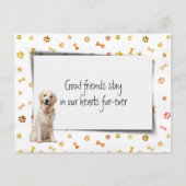 Gouden Retriever Huisdier Sympathie Verlies Briefkaart (Voorkant)