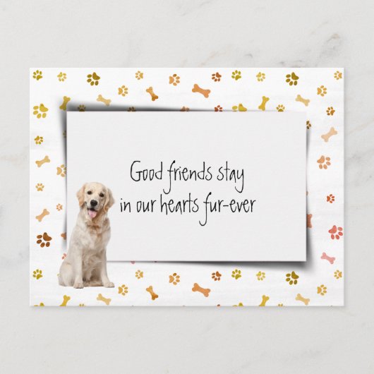 Gouden Retriever Huisdier Sympathie Verlies Briefkaart (Voorkant)