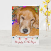 Gouden Retriever in lichten verstrikt Kaart (Gele Bloem)