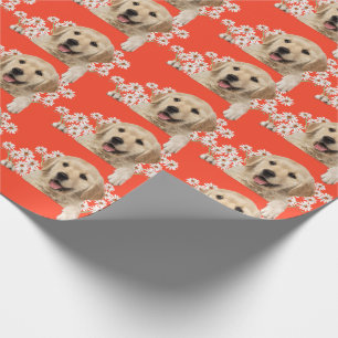 Gouden Retriever in madeliefjes op oranje Cadeaupapier