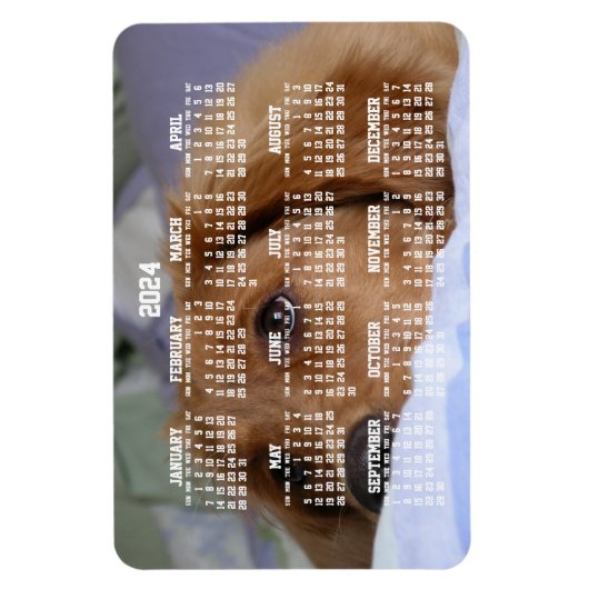 Gouden Retriever Kalender 2024 Grote Fotomagneet Magneet (Verticaal)