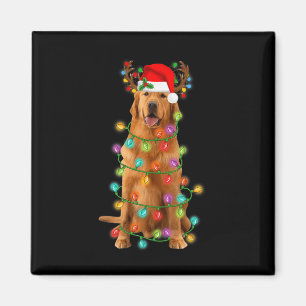 Gouden Retriever Kerstboom Lichten Pyjama Hond Magneet