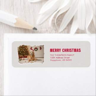 Gouden Retriever Kerstman Hoed Hond Foto Kerstmis Etiket