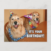 Gouden Retriever Laten we feestvieren Verjaardag Uitnodiging Briefkaart (Voorkant)