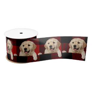 Gouden Retriever op Buffalo Plaid Satijnen Lint