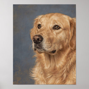 Gouden Retriever Portret in Blauw Grijs en Warm Ge Poster