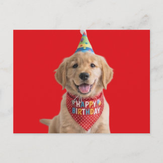 Gouden retriever pup die een gelukkige verjaardag briefkaart
