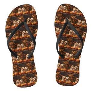 Gouden Retriever Puppy Herfst Plezier Pompoen Teenslippers