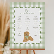 Gouden Retriever Puppy Hond 1e Verjaardag Mijlpaal