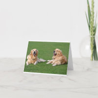 Gouden Retriever Puppy Hond Deken