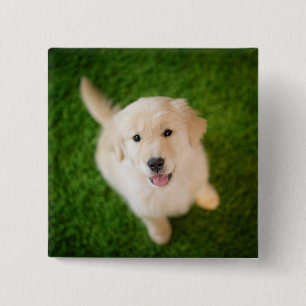 Gouden Retriever Puppy op Gras Vierkante Button 5,1 Cm