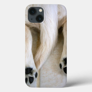 Gouden Retriever Puppy Tenen iPhone 13 Hoesje