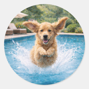 Gouden Retriever Puppy Zwembad Duik Ronde Sticker